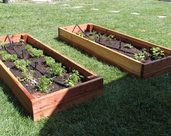 Vegetable garden